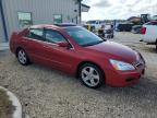 Lot #3025204651 2007 HONDA ACCORD EX