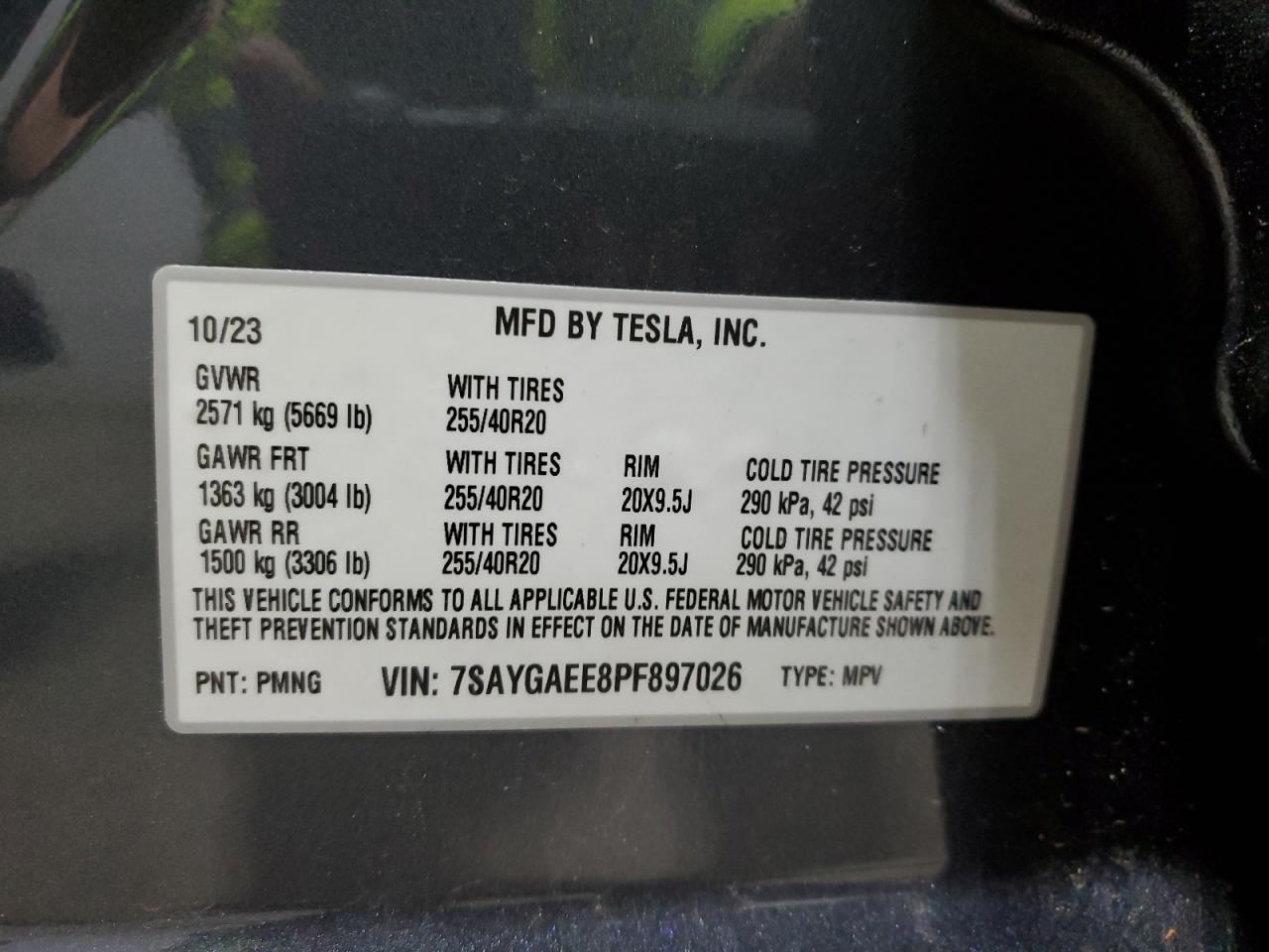 Lot #2993899332 2023 TESLA MODEL Y