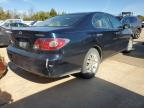 Lot #3006945635 2002 LEXUS ES 300