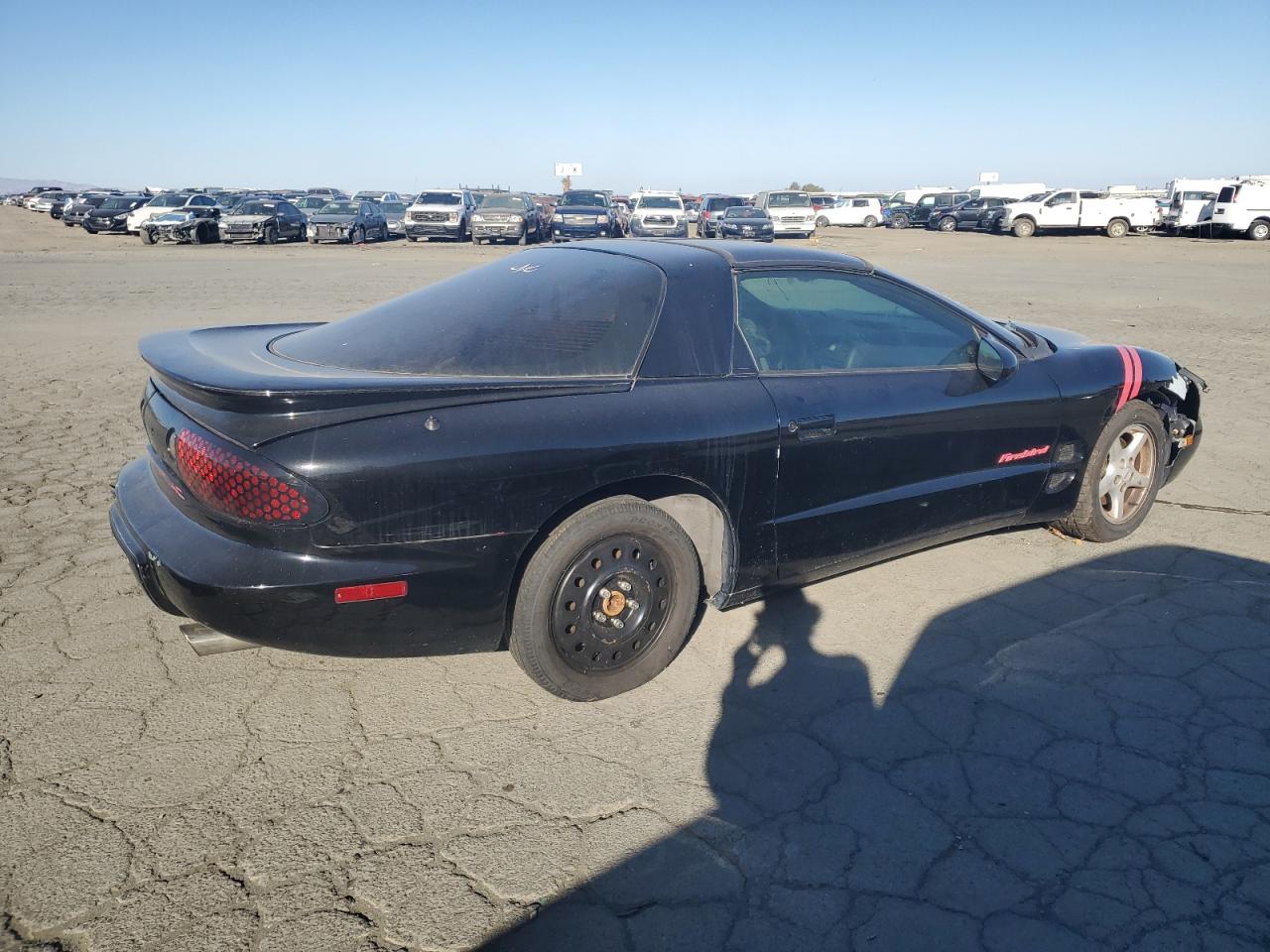 Lot #2960326759 1999 PONTIAC FIREBIRD