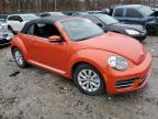 Lot #3022848293 2019 VOLKSWAGEN BEETLE S