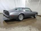 Lot #3024365524 1981 PONTIAC FIREBIRD