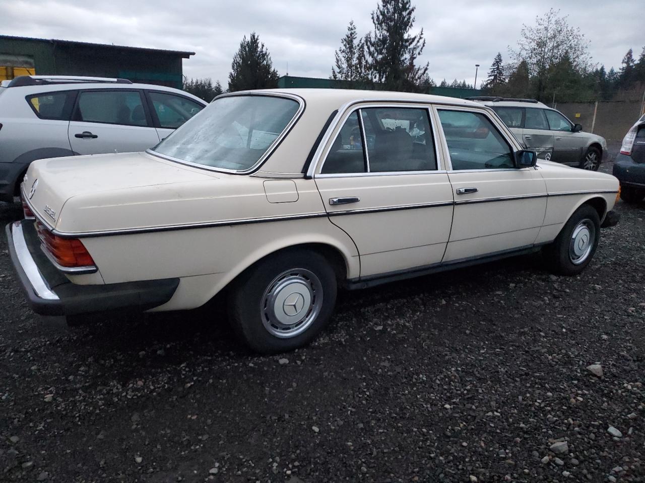 Lot #2996601609 1983 MERCEDES-BENZ 240 D