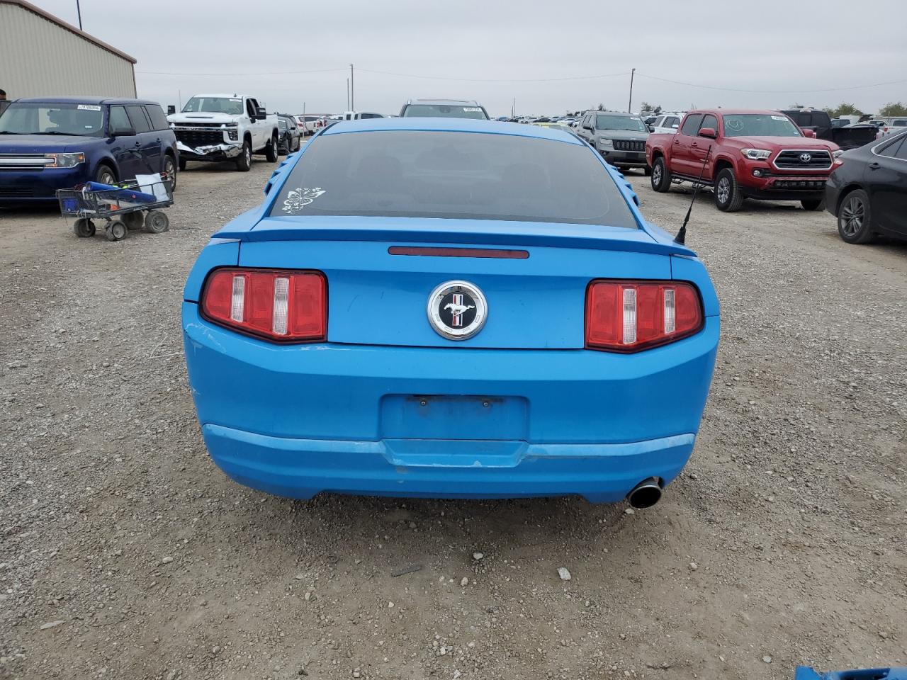 Lot #3024711653 2010 FORD MUSTANG