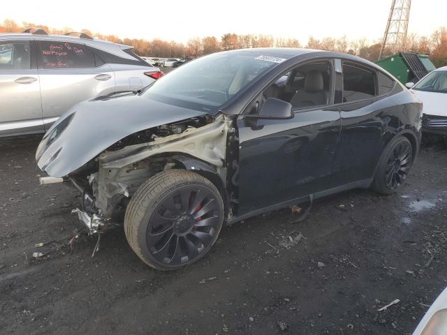 2023 TESLA MODEL Y #3037246486