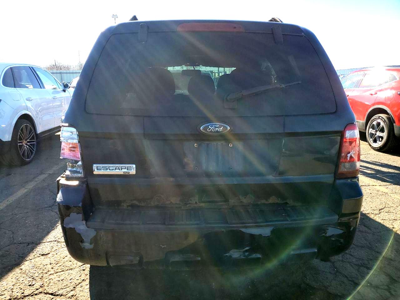 Lot #2976971680 2010 FORD ESCAPE XLT