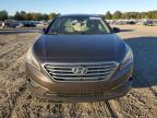 Lot #2993483182 2016 HYUNDAI SONATA SE