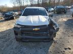 Lot #3006731504 2024 CHEVROLET COLORADO