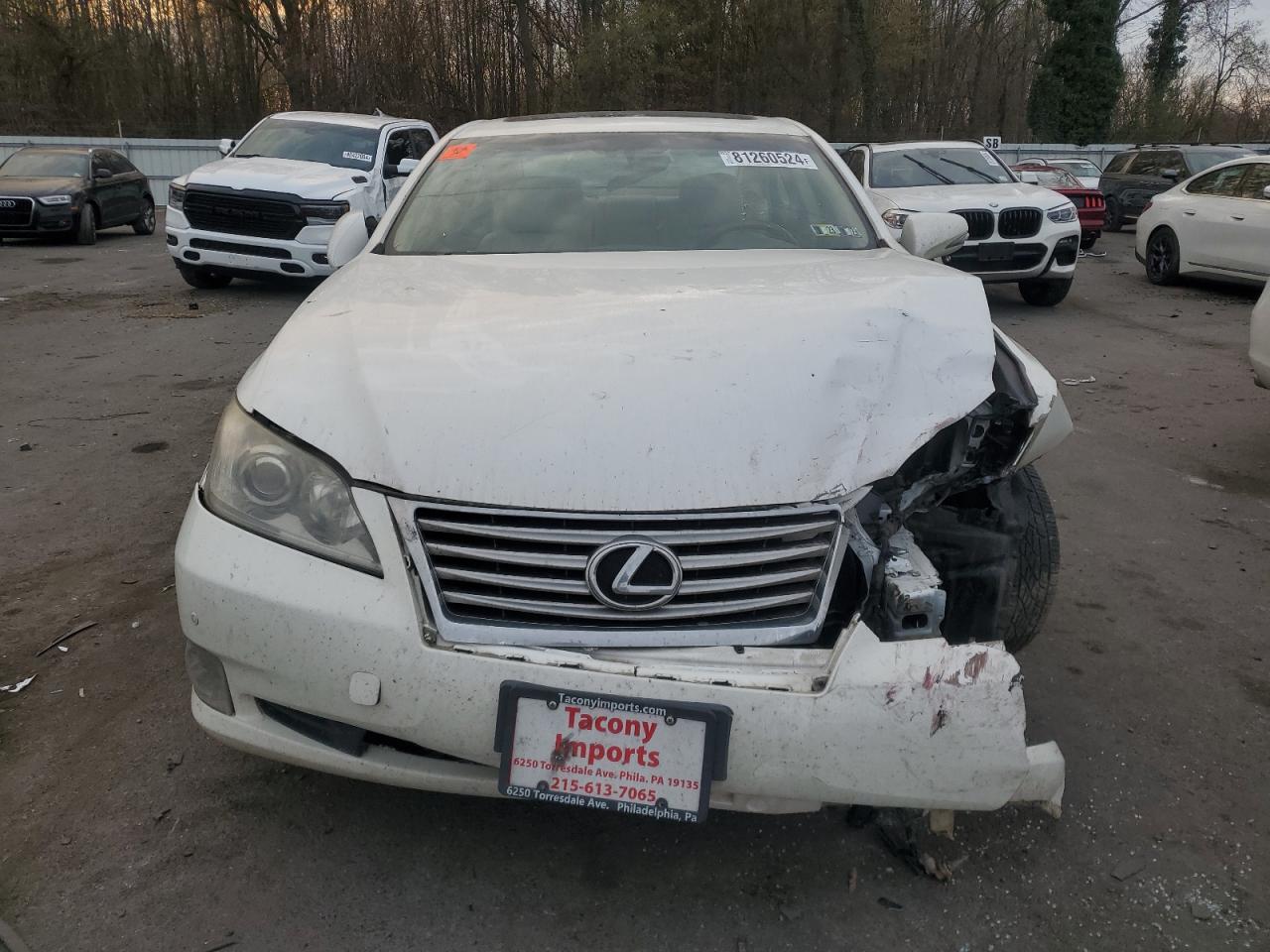 Lot #3034500742 2011 LEXUS ES 350