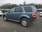 FORD ESCAPE XLT photo