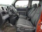 HONDA ELEMENT EX photo