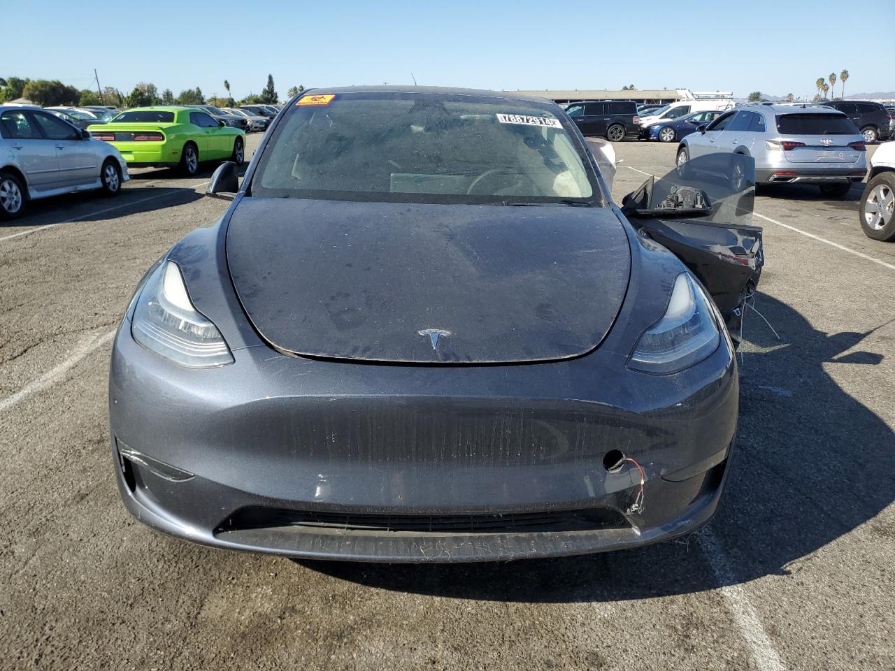 Lot #3030427464 2023 TESLA MODEL Y