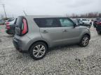 KIA SOUL + photo