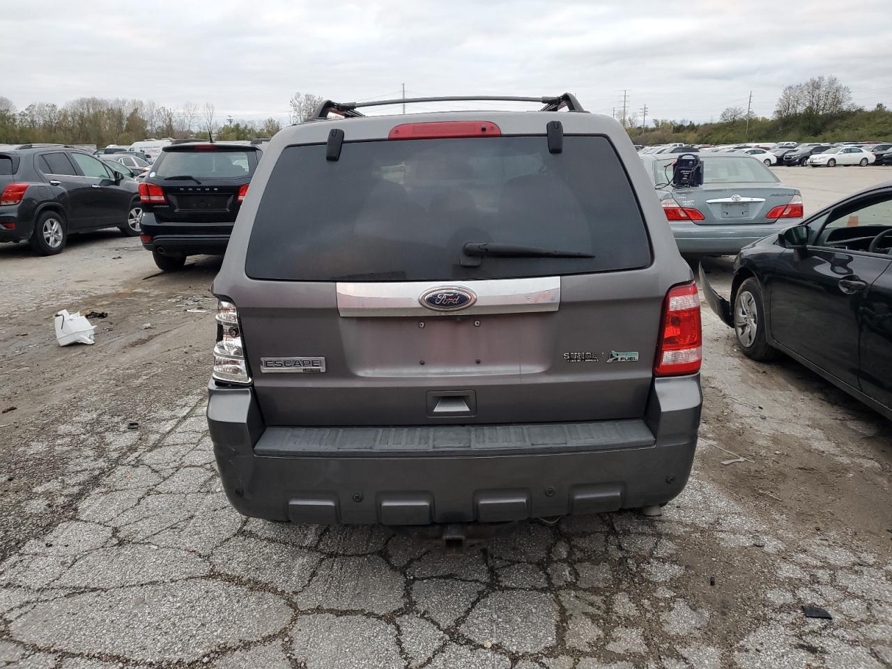 Lot #3024820393 2010 FORD ESCAPE LIM