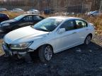 2013 HONDA ACCORD EXL #3037082390