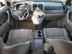 Lot #2993623197 2007 HONDA CR-V EX