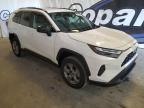 TOYOTA RAV4 LE photo