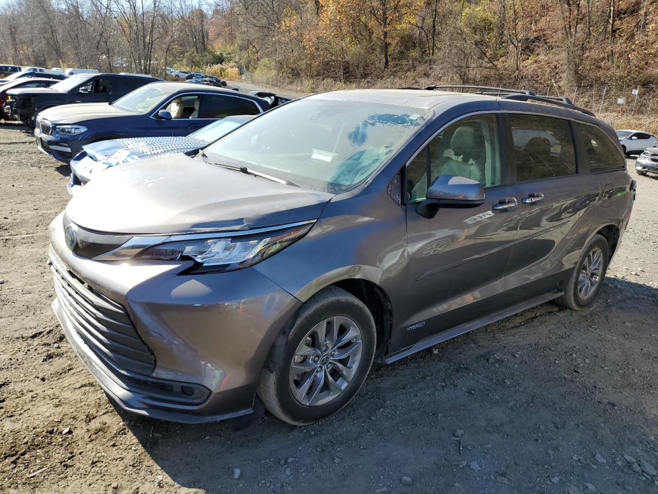 Lot #2959870337 2021 TOYOTA SIENNA XLE