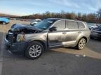 Lot #3024159928 2022 KIA TELLURIDE