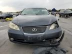 Lot #3023123163 2008 LEXUS ES 350