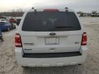 Lot #3023866853 2011 FORD ESCAPE XLT