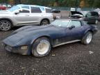 Lot #3024627757 1981 CHEVROLET CORVETTE