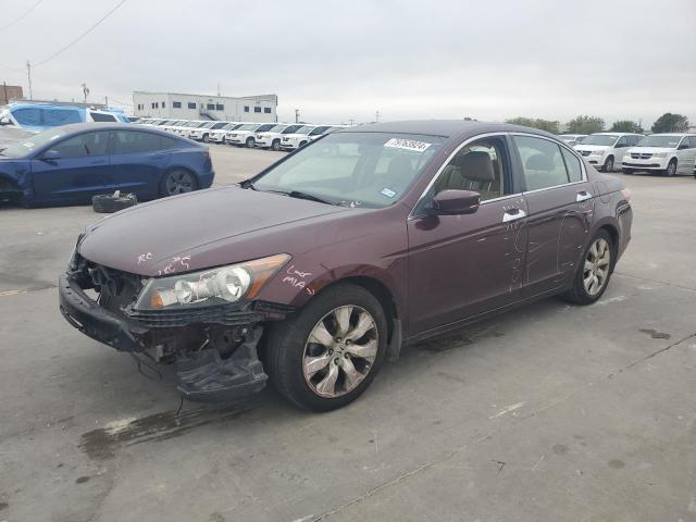 2010 HONDA ACCORD EXL - 5KBCP3F87AB004221