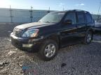 Lot #2996079372 2004 LEXUS GX 470