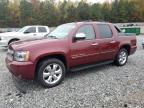 Lot #3023818885 2008 CHEVROLET AVALANCHE