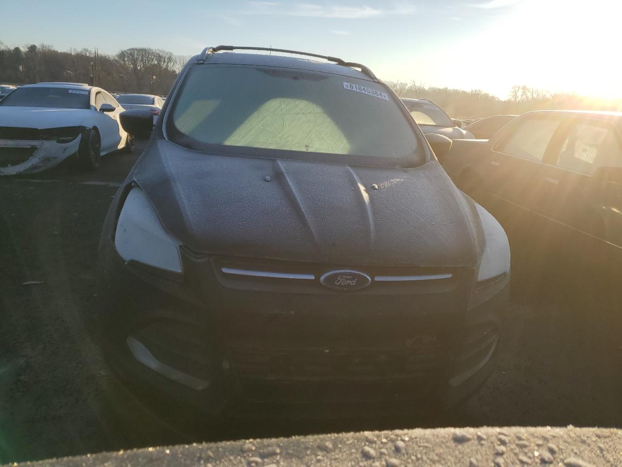 Lot #3008294190 2013 FORD ESCAPE SE