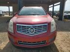 CADILLAC SRX LUXURY photo