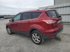 Lot #3024733275 2014 FORD ESCAPE TIT