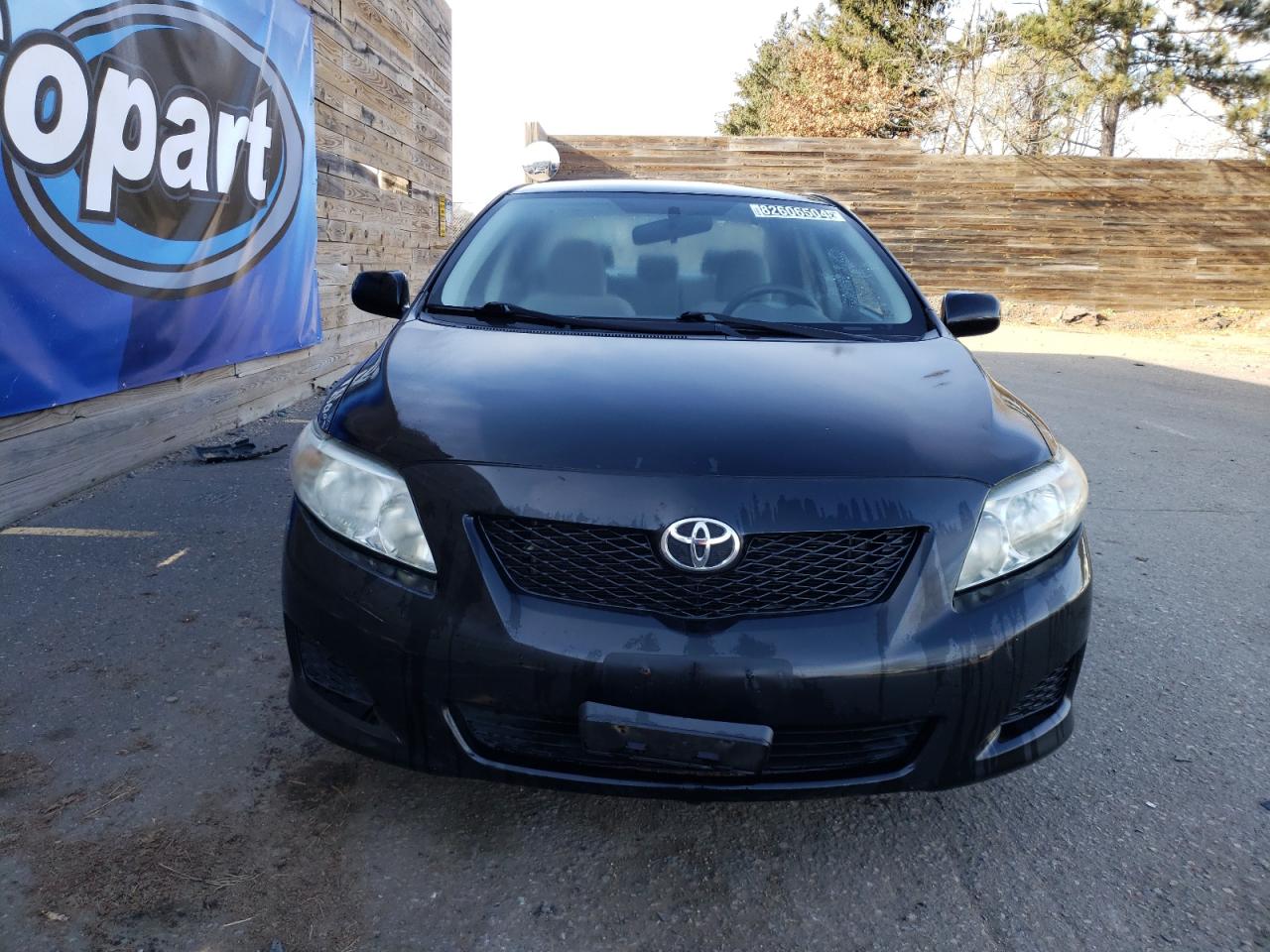 Lot #3034295105 2009 TOYOTA COROLLA BA