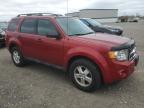 FORD ESCAPE XLT снимка