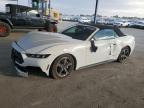 Lot #3025020253 2024 FORD MUSTANG