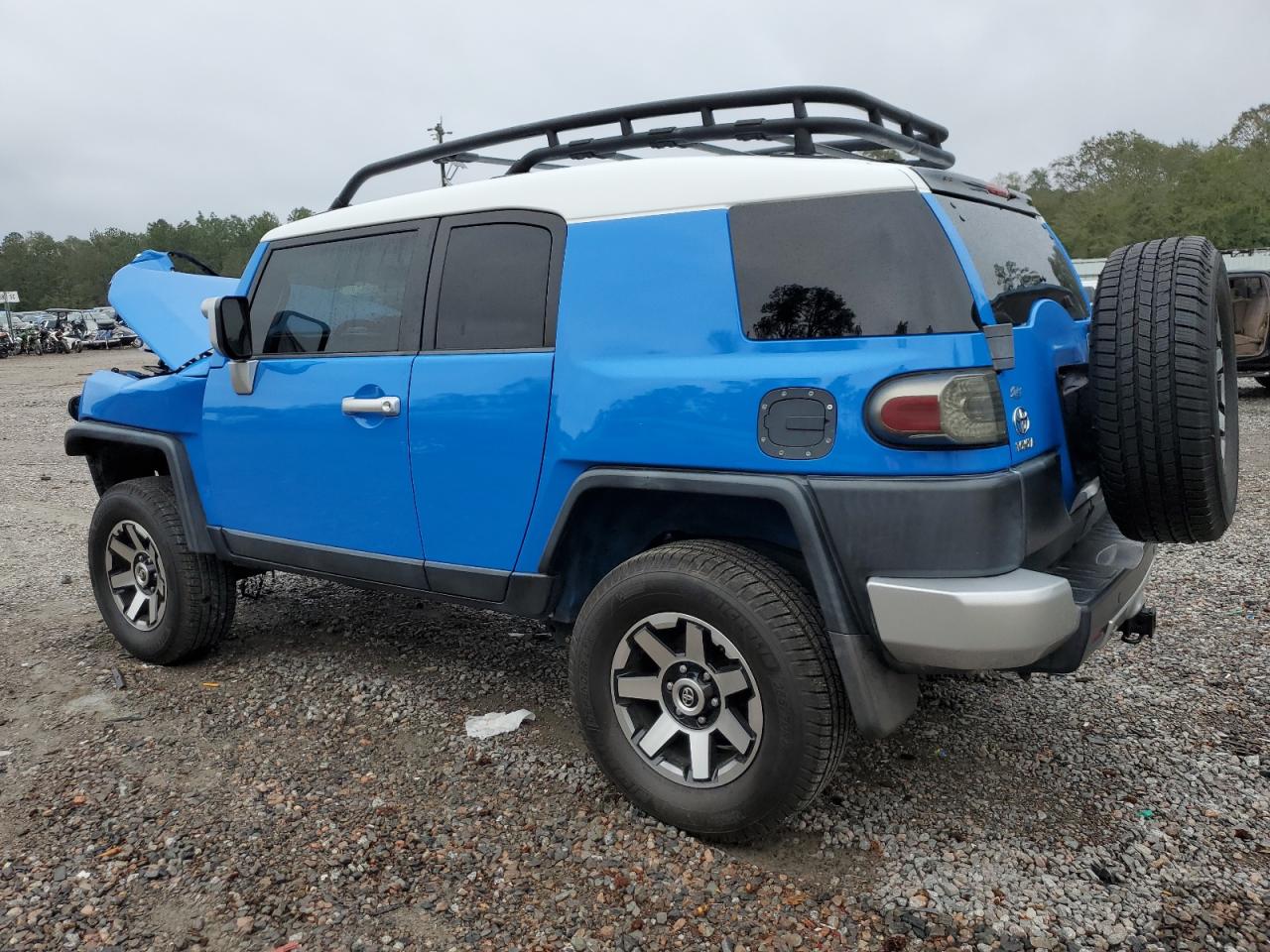 Lot #2995684216 2007 TOYOTA FJ CRUISER