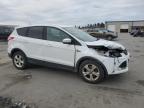 Lot #3023870812 2016 FORD ESCAPE SE