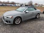 Lot #3006686359 2020 AUDI S5 PREMIUM