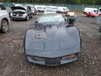 Lot #3024627757 1981 CHEVROLET CORVETTE