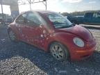 Lot #3024034252 2009 VOLKSWAGEN NEW BEETLE