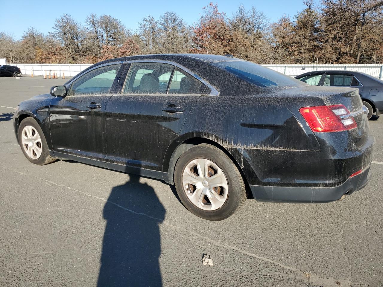 Lot #2962483960 2016 FORD TAURUS POL