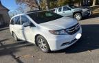 HONDA ODYSSEY EX photo