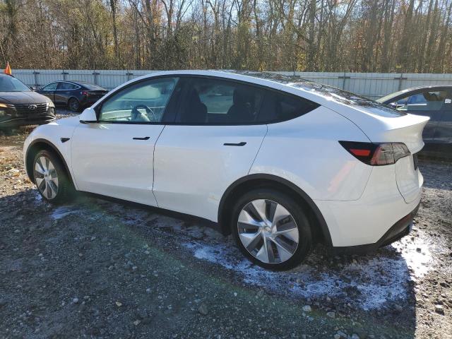 2024 TESLA MODEL Y - 7SAYGAEE7RF091388