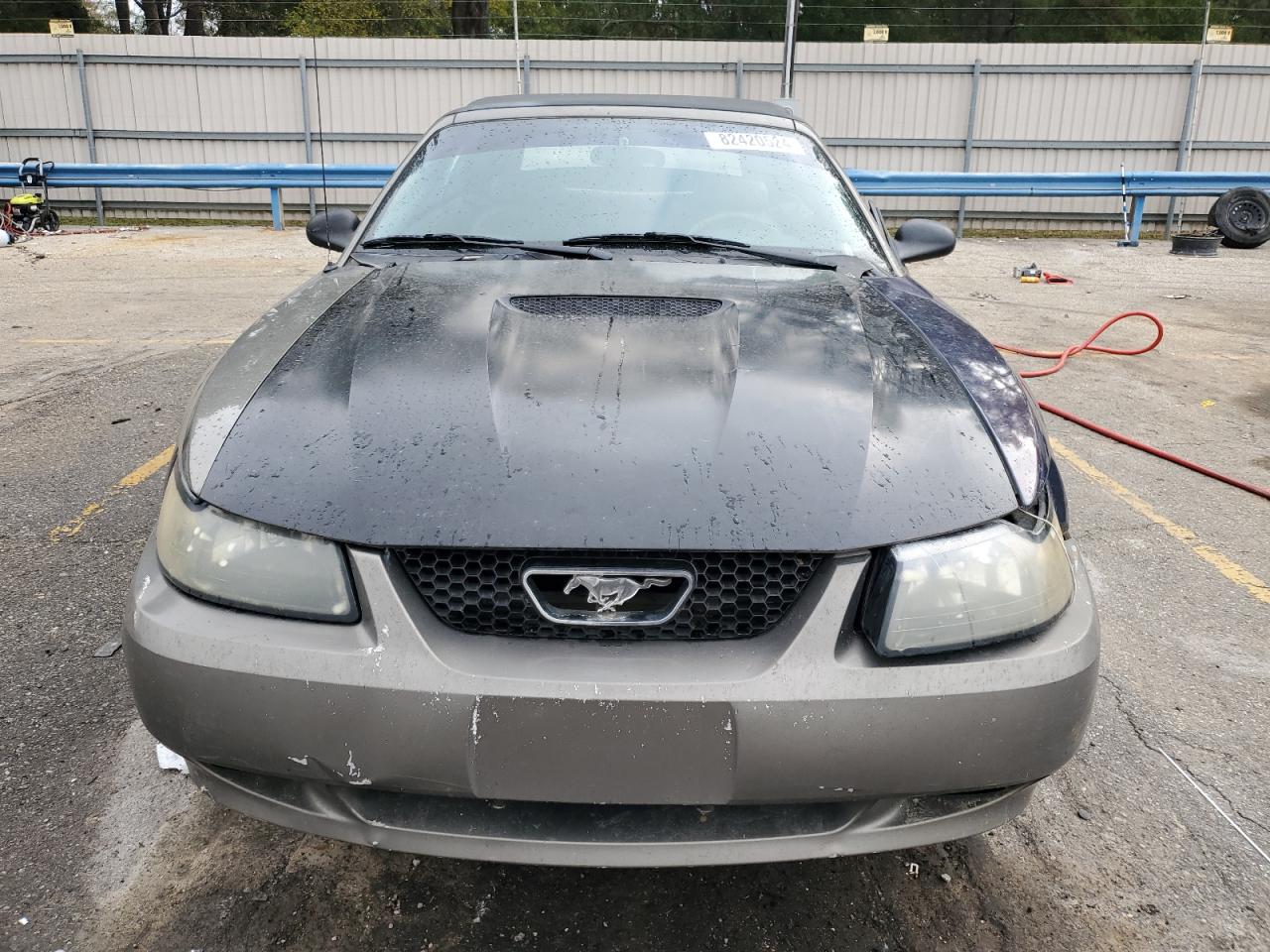 Lot #3024190808 2001 FORD MUSTANG