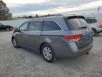 HONDA ODYSSEY EX photo