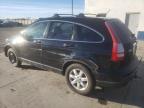 Lot #3023831918 2007 HONDA CR-V EX