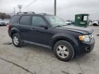 FORD ESCAPE XLT photo