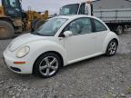 Lot #3027161279 2008 VOLKSWAGEN NEW BEETLE