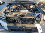 Lot #3006955691 2024 TOYOTA LAND CRUIS