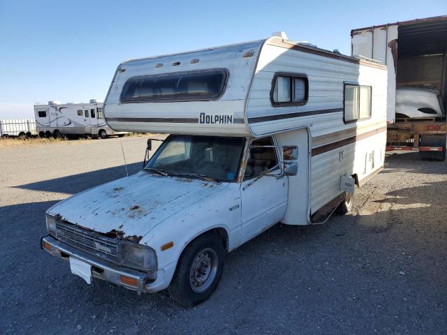 TOYOTA PICKUP / C 1983 white chassis gas JT5RN44D2D1118558 photo #3